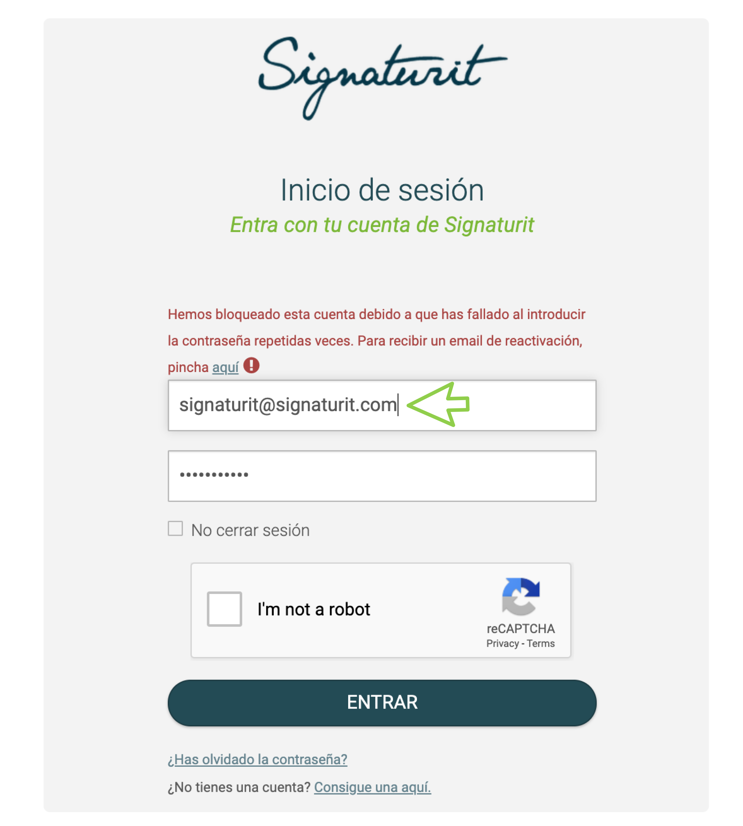 Screenshot_2019-12-13_at_18.46.02_copia.png